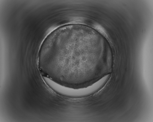 X0000085771284200703301354