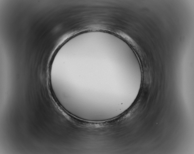 X0000085771286200703301354