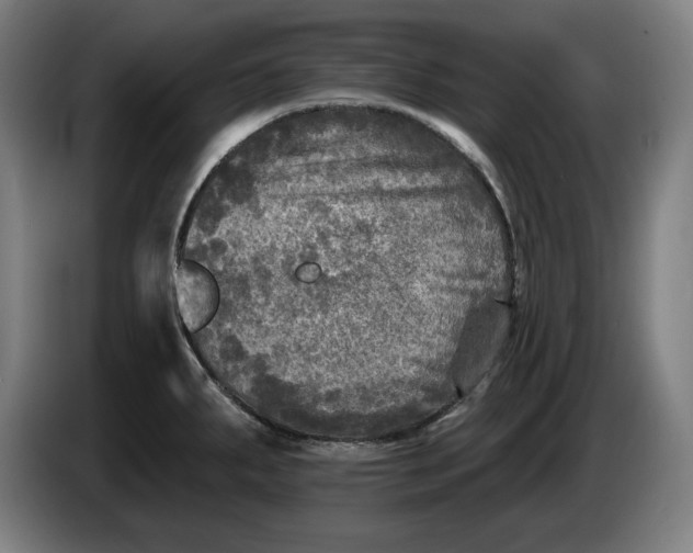 X0000085771287200703301354