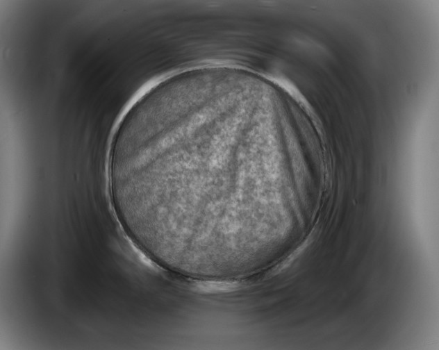 X0000085771294200703301354