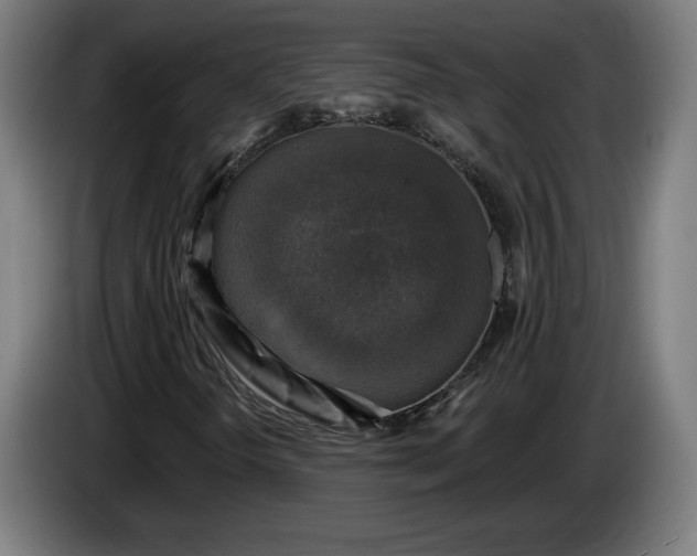 X0000085771298200703301353