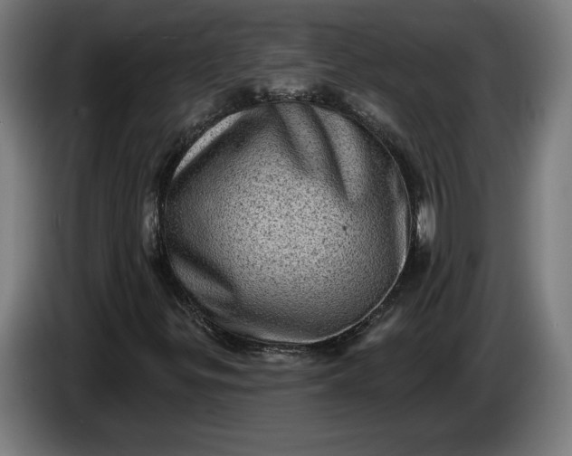 X0000085771299200703301353