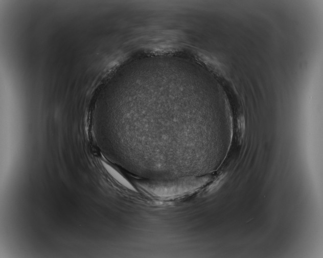 X0000085771300200703301353