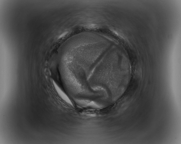 X0000085771301200703301353