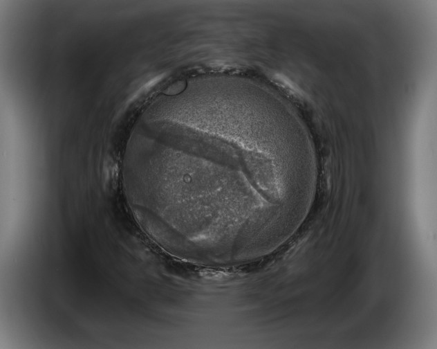 X0000085771302200703301353