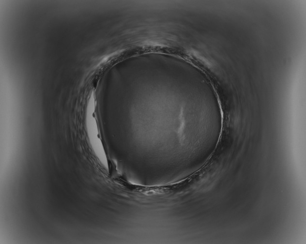 X0000085771303200703301353