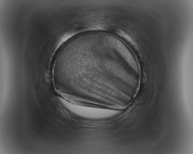 X0000085771308200703301353