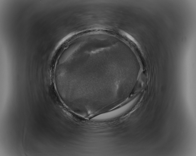 X0000085771310200703301354