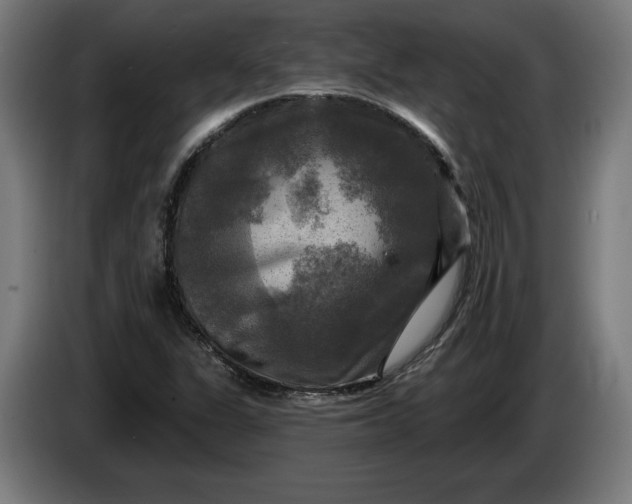 X0000085771311200703301354