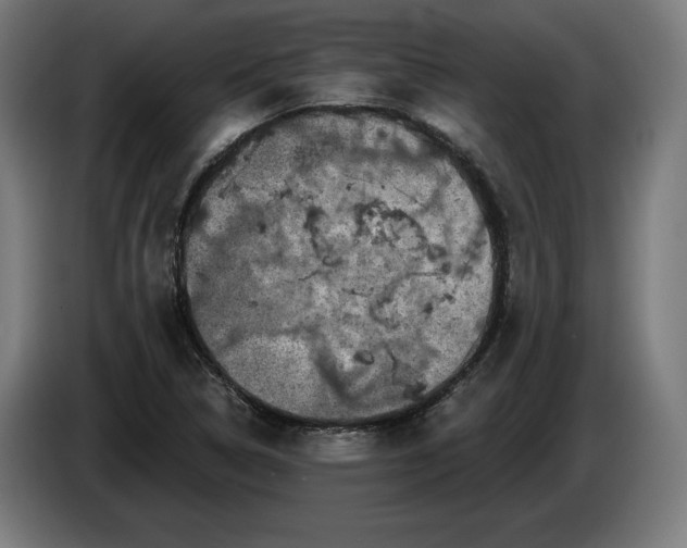 X0000085771314200703301354