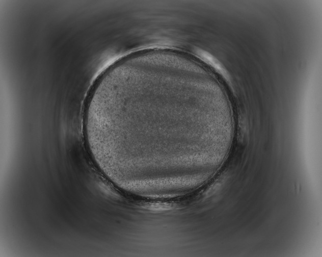 X0000085771316200703301354