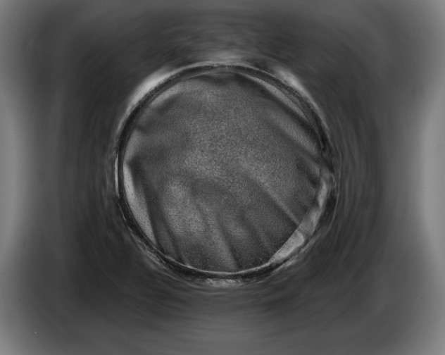 X0000085771320200703301354