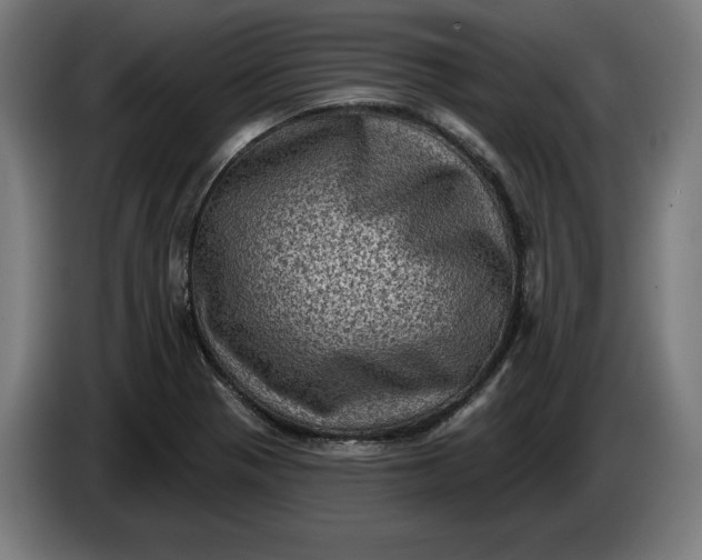 X0000085771321200703301354