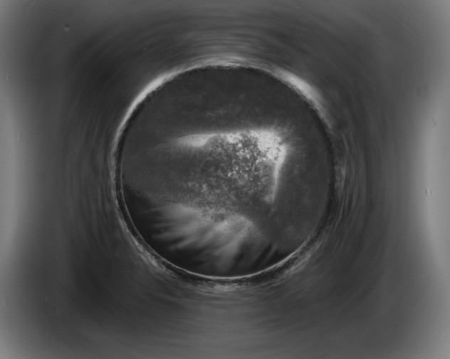 X0000085771326200703301354