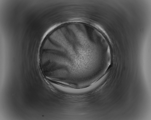 X0000085771328200703301354