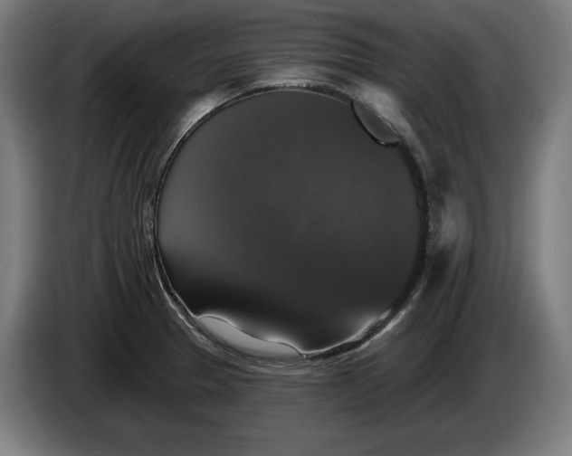 X0000085771329200703301354