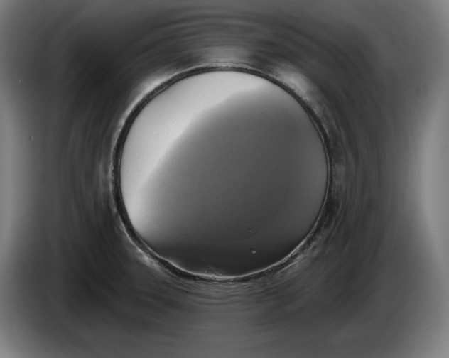 X0000085771331200703301354