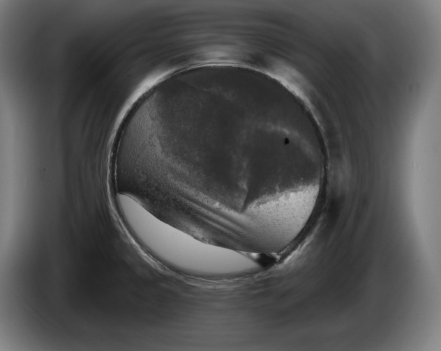 X0000085771333200703301354