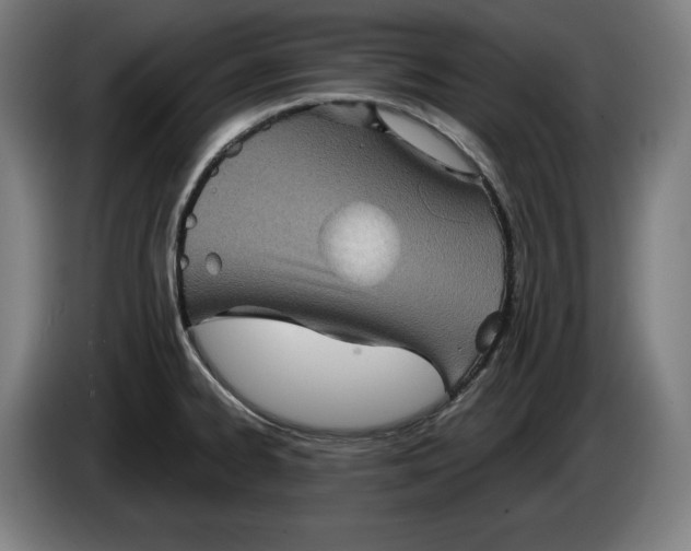 X0000085771334200703301354