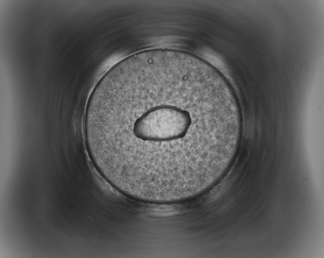 X0000085771338200703301354