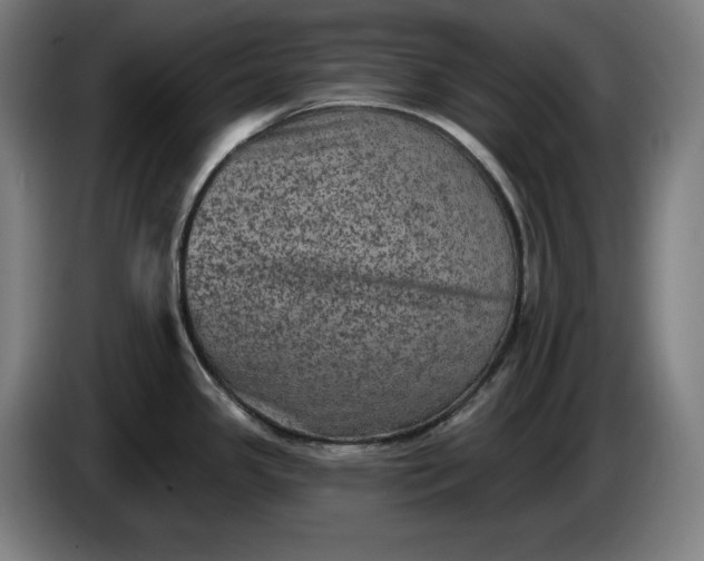 X0000085771341200703301354