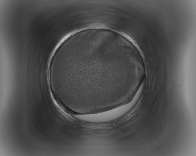 X0000085771342200703301354