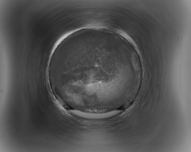 X0000085771344200703301354