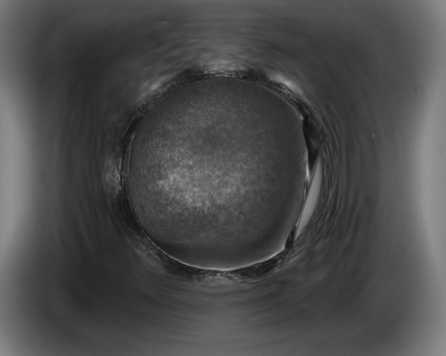 X0000085771348200703301353