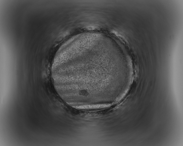 X0000085771349200703301353