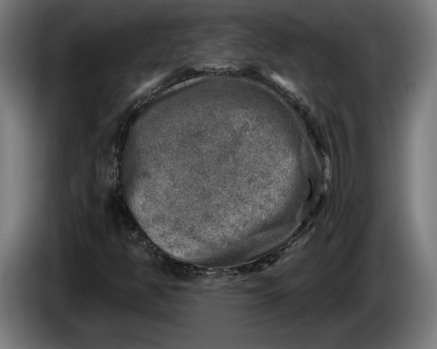 X0000085771350200703301353