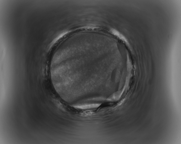 X0000085771352200703301353