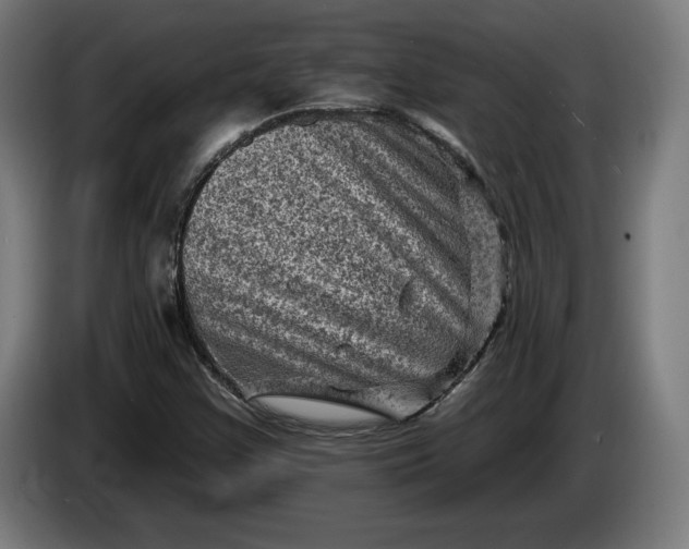 X0000085771355200703301353