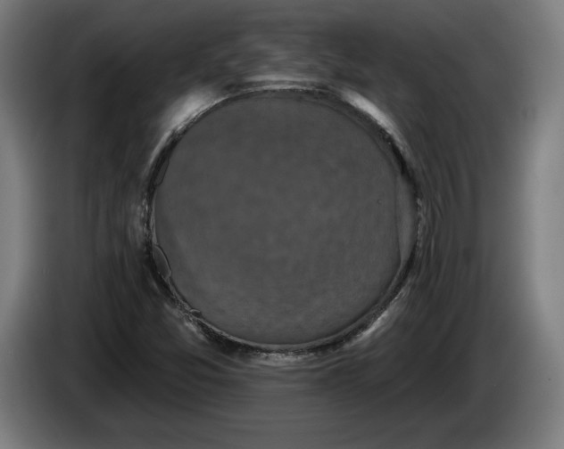 X0000085771357200703301353