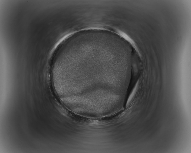 X0000085771360200703301353