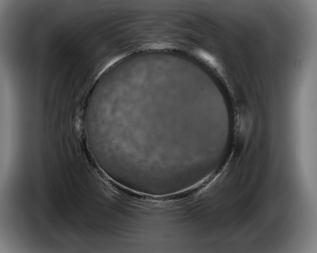 X0000085771361200703301353