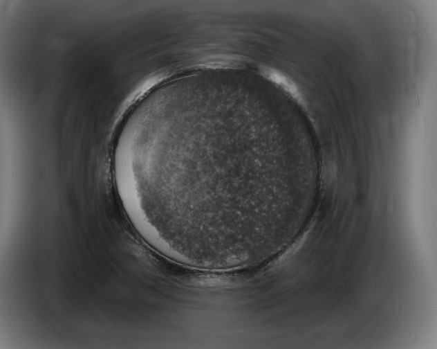 X0000085771362200703301353