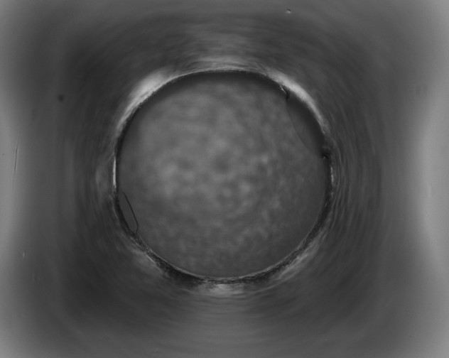 X0000085771365200703301353