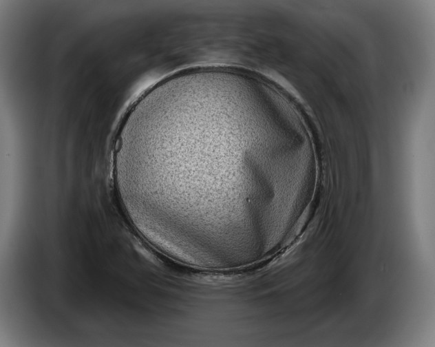 X0000085771366200703301353