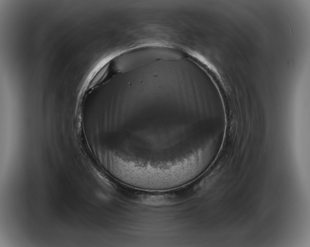 X0000085771367200703301353