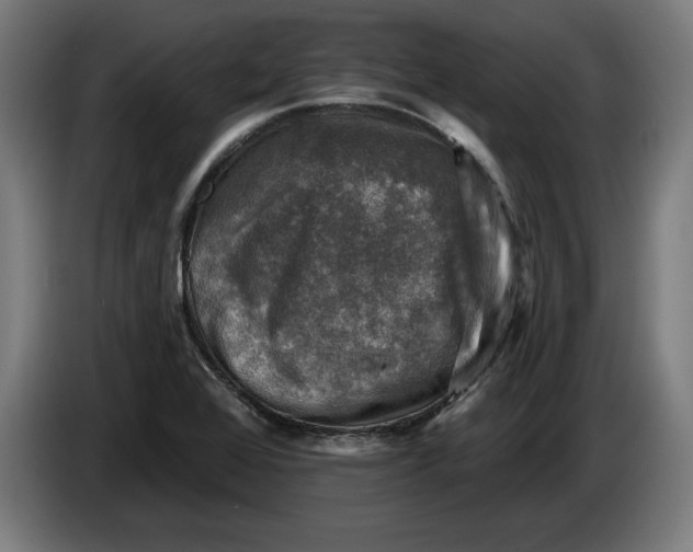 X0000085771368200703301353