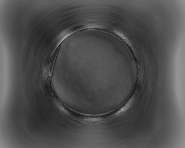 X0000085771369200703301353