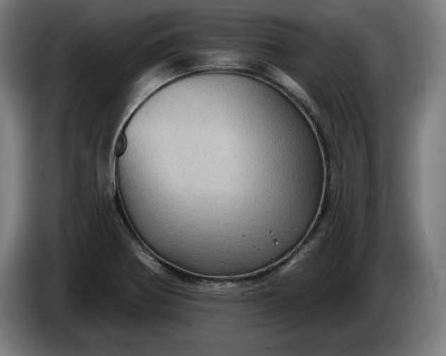 X0000085771370200703301353