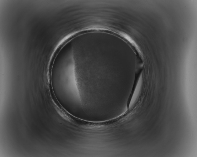 X0000085771372200703301353