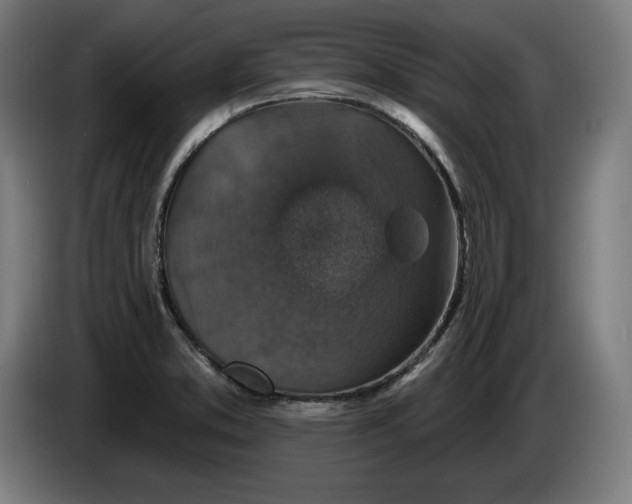 X0000085771373200703301353