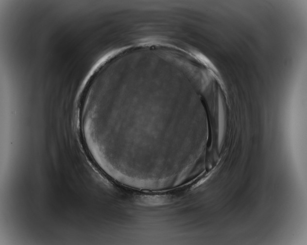 X0000085771376200703301353