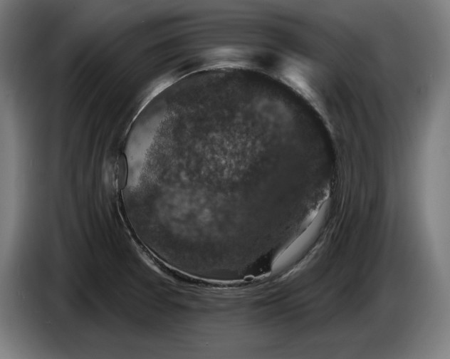 X0000085771377200703301353