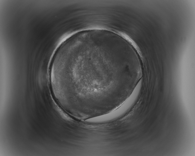 X0000085771380200703301353