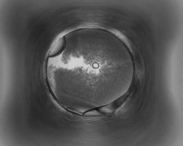 X0000085771382200703301353