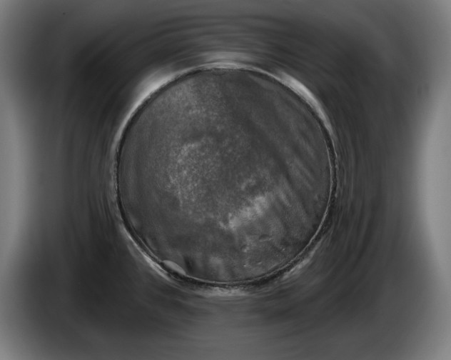 X0000085771384200703301353