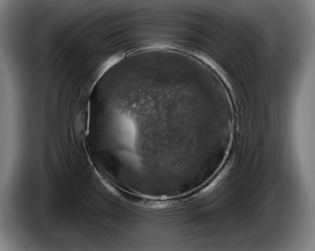 X0000085771385200703301353